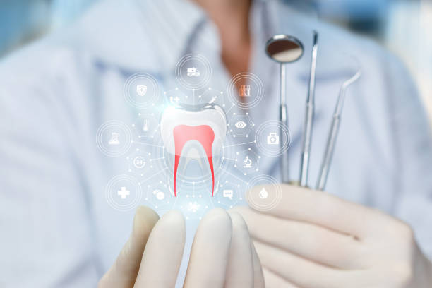 Best Orthodontics  in Watergate, FL